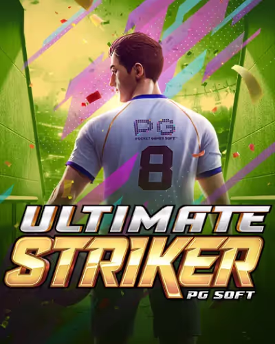 bet317 net